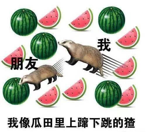 空降吃瓜指南,轻松解锁娱乐圈热点事件