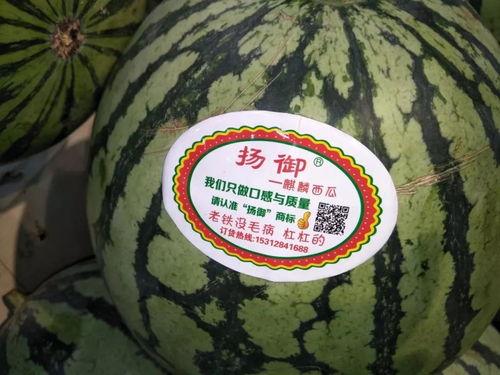 夜 惊喜不断 吃瓜,惊喜连连，吃瓜群众狂欢记