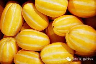 带你吃大头瓜,一场味蕾的奇幻之旅