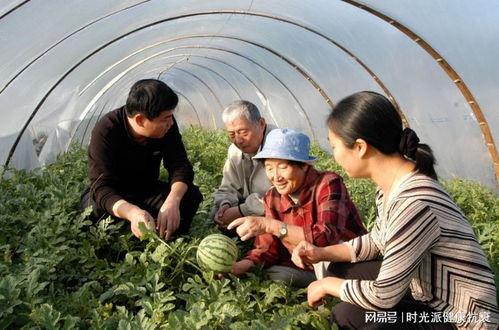 永康牛夫人吃瓜,揭秘网络热点的背后真相