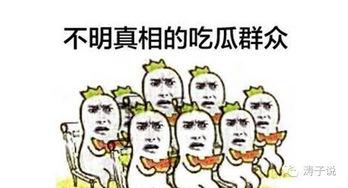 思考吃瓜群众思维,吃瓜群众视角下的社会热点解析