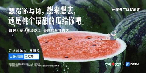 让你吃瓜文案,跟随“吃瓜群众”探寻明星幕后故事