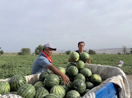 盐山吃瓜,探寻夏日消暑美食之旅
