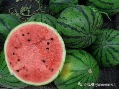 吃西瓜 中国大瓜,探寻西瓜的甜蜜奥秘