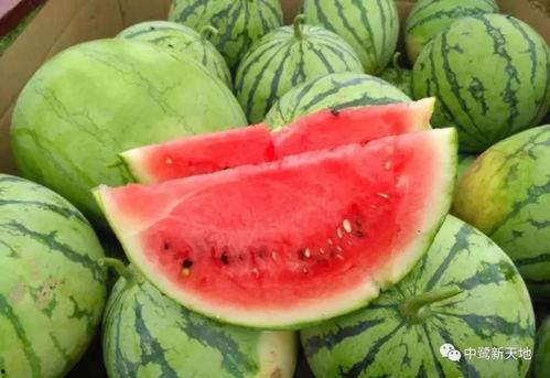 奶茉家吃瓜,揭秘娱乐圈背后的那些事儿