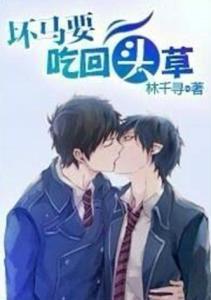 吃瓜龙阳之恋小说,揭秘古代宫廷的禁忌之恋