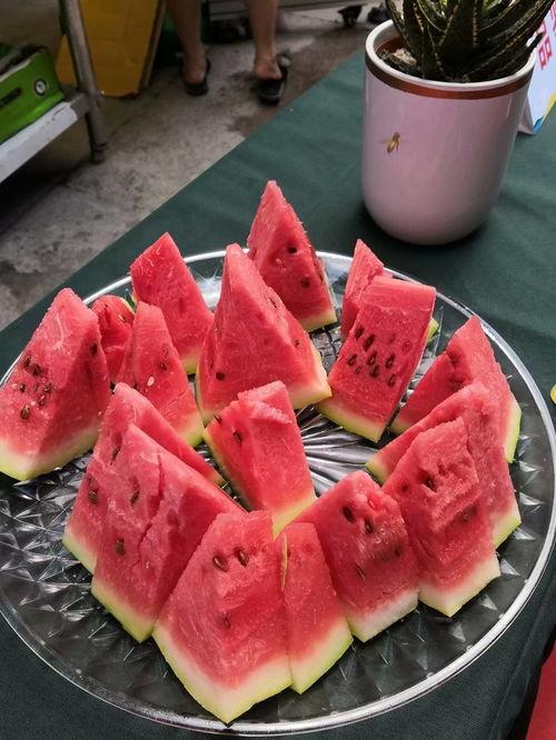 吃瓜 宁夏大学,吃瓜群众中的知识力量”