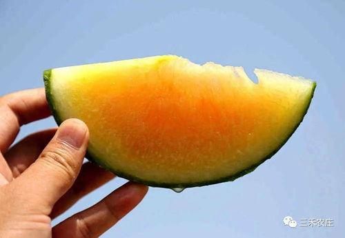 彩虹吃瓜娱乐,揭秘娱乐圈幕后故事